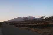 2010_2_22_780.jpg