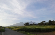2010_8_29_780.jpg