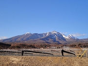 2011_1_25_780.jpg