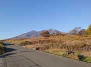 2010_11_16_780.jpg
