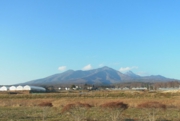 2011_12_14_780.jpg