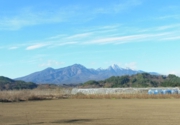 2011_11_14_780.jpg