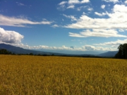 2012_10_1_960.jpg