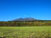 2013_10_28_960.jpg