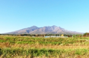 2014_10_27_960.jpg