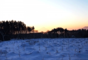127.gif