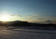 12.gif