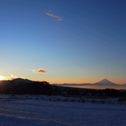 4.gif