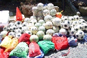 shisetsu_balls.gif