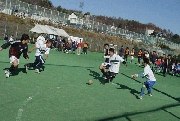 pich600_5.gif