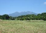 07_8_12_780.jpg