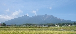 06925_780.jpg